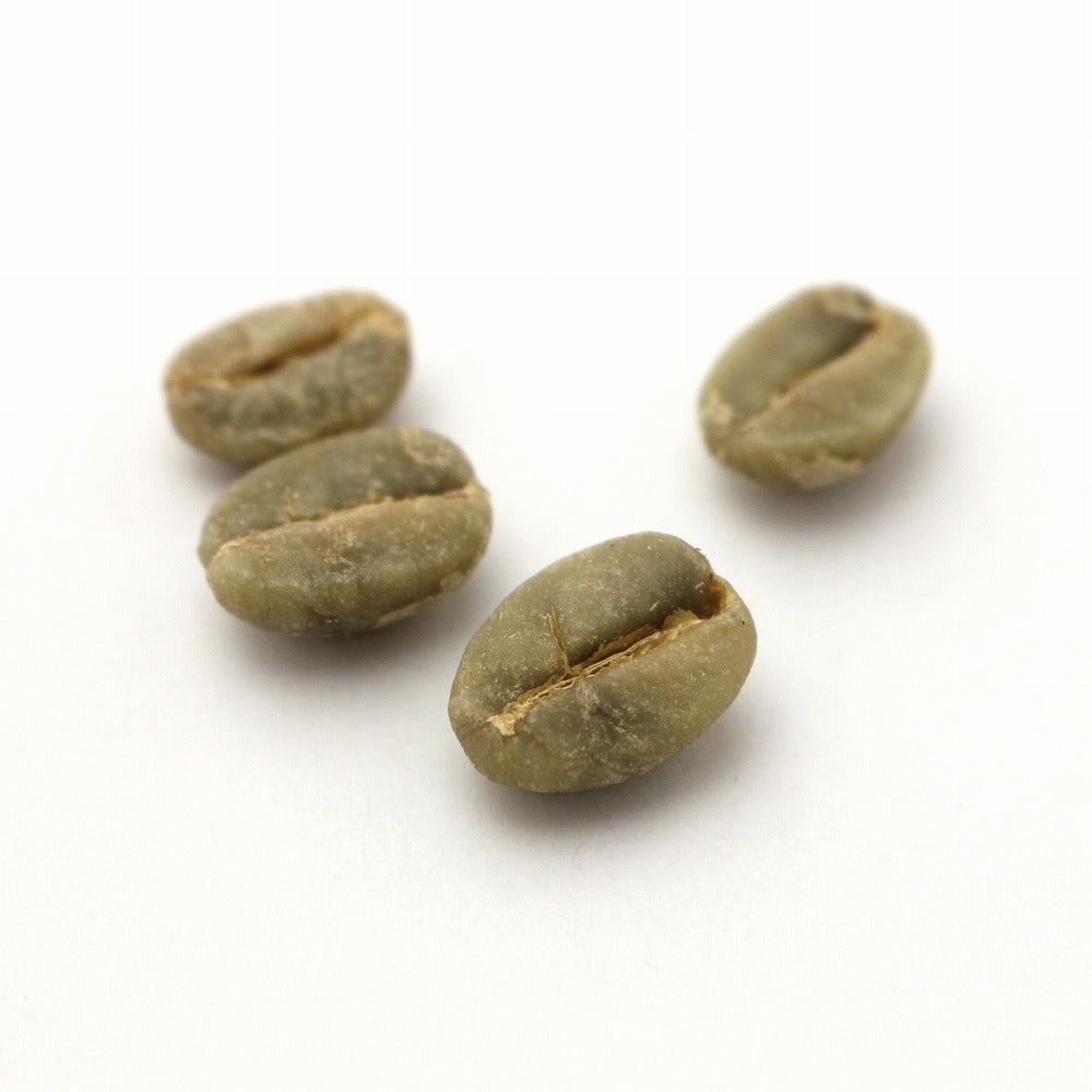 マダガスカルのコーヒー生豆 ウォッシュト アラビカ種