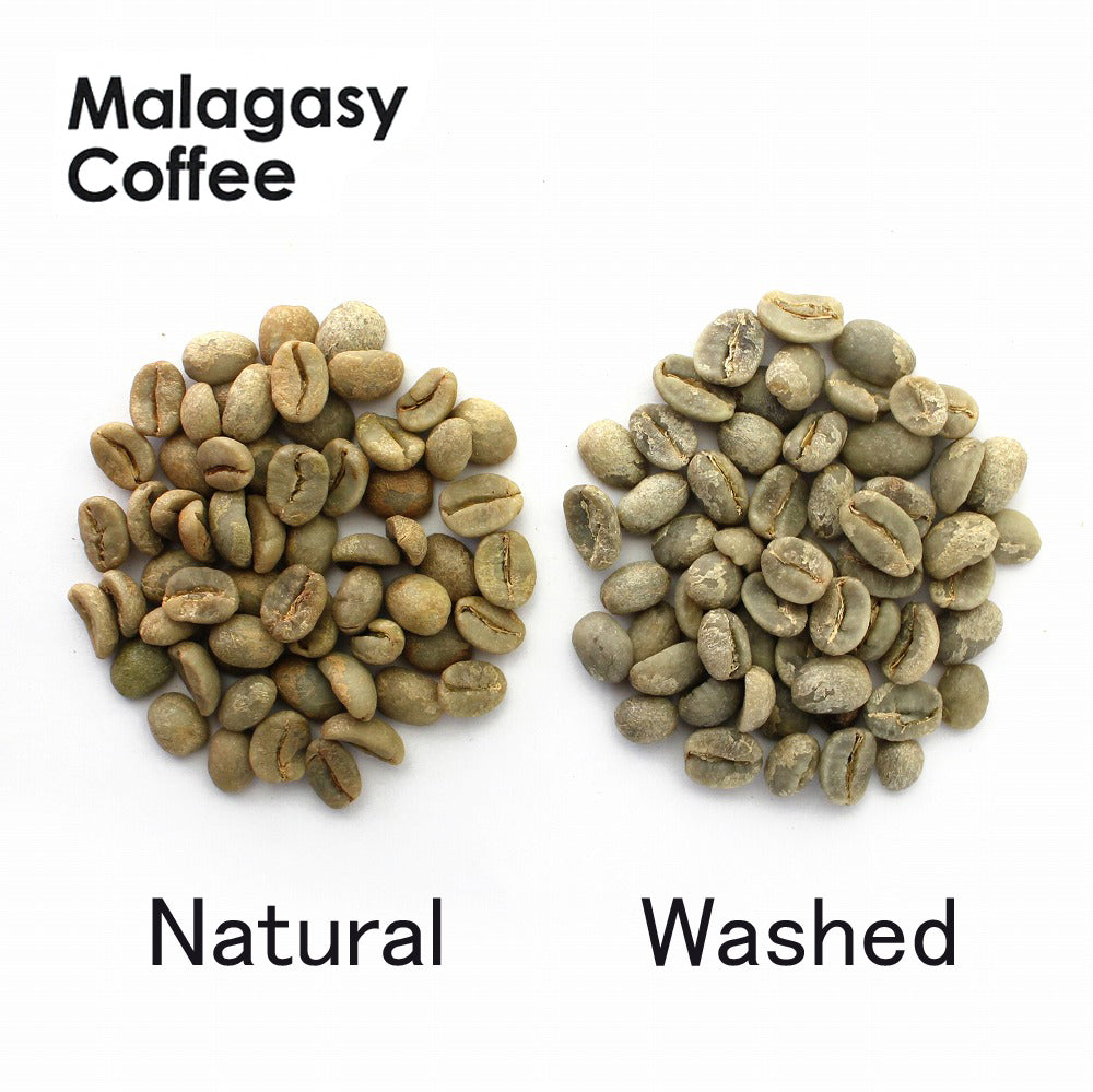 マダガスカルのコーヒー生豆 ウォッシュト アラビカ種