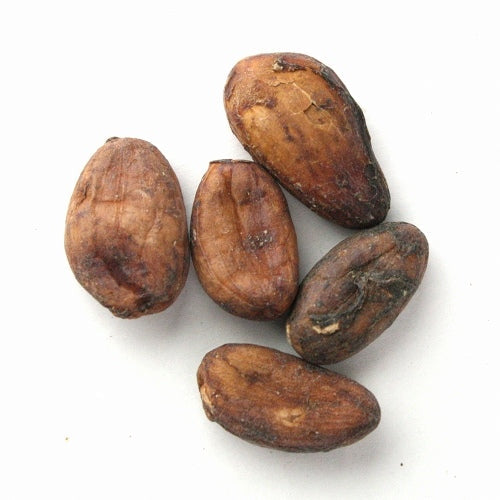 カカオ生豆 ショコラマダガスカル