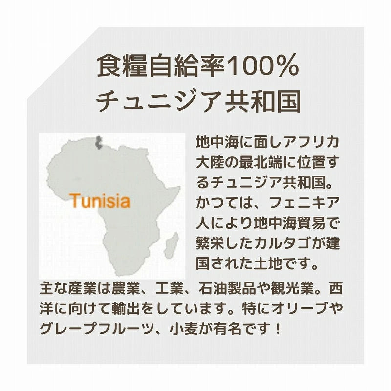 オリーブ木 タイル鍋敷き 10x10 09