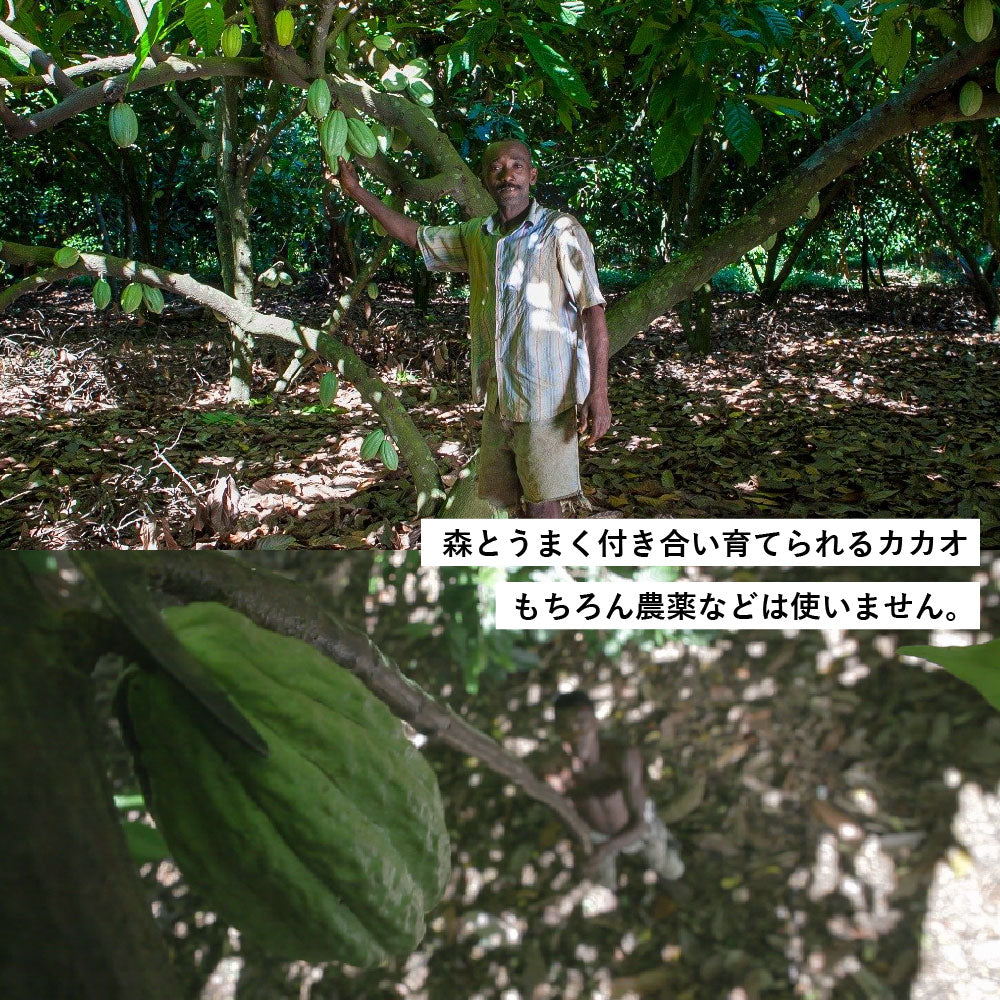 【セール20%OFF】ショコラマダガスカル ダークチョコレート100％