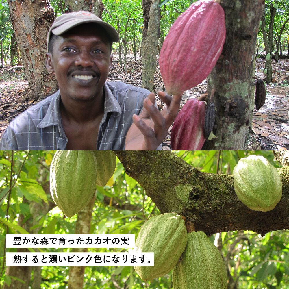 カカオニブ 500g ショコラマダガスカル