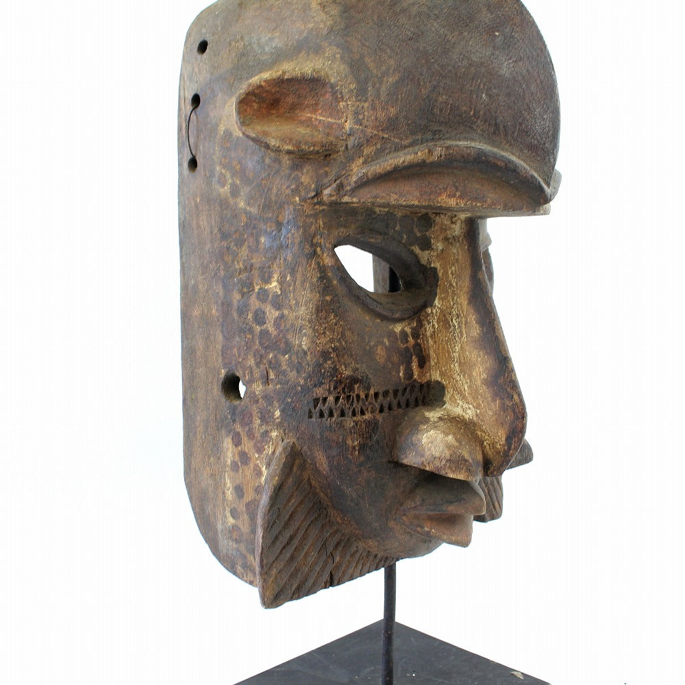 マスクドゴン | マンゴロベ