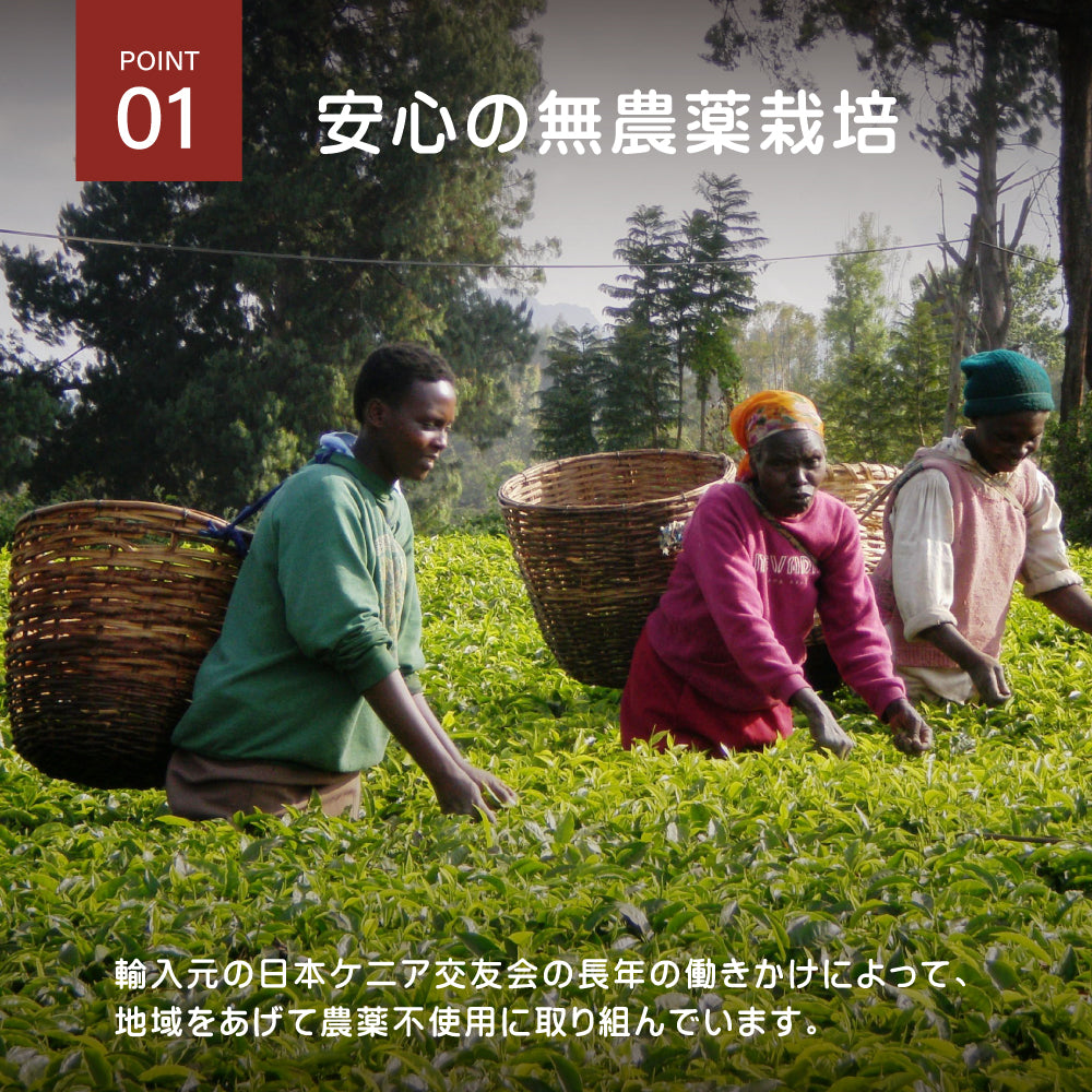 ケニア山の紅茶 細かい茶葉250g