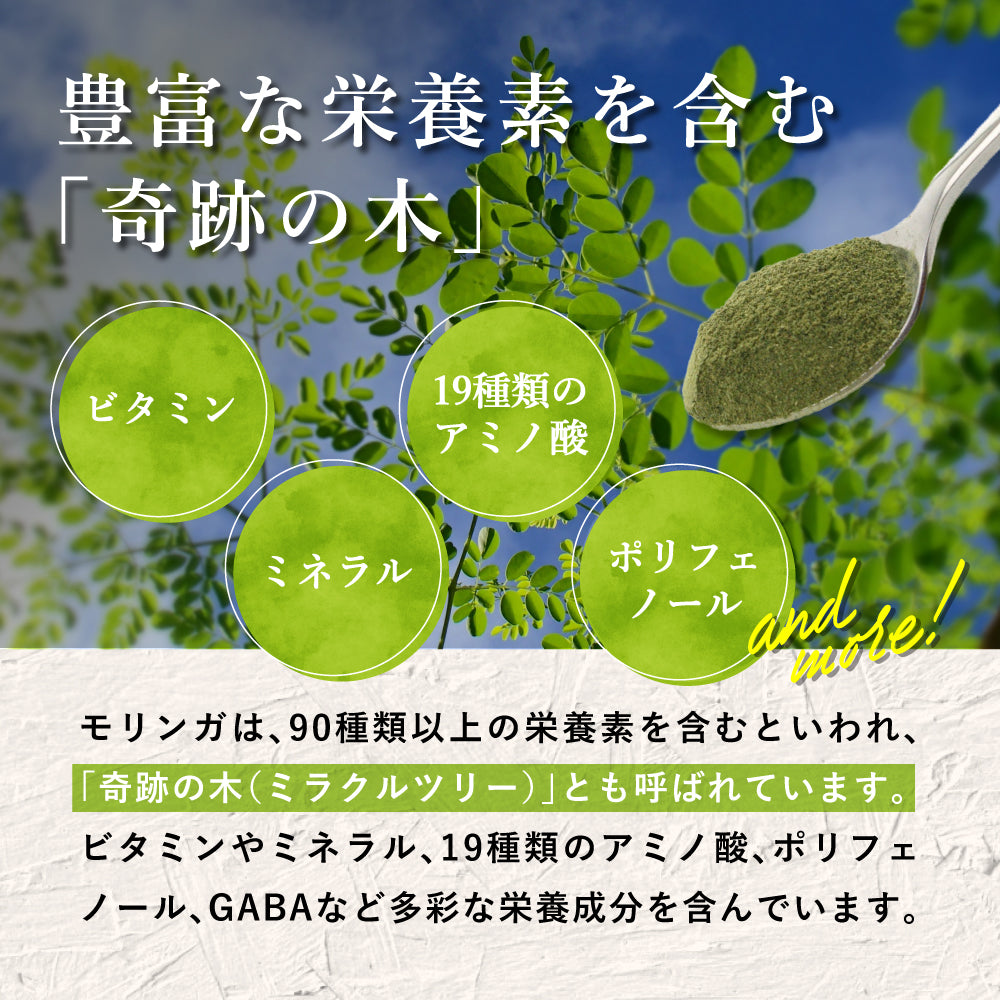 モリンガリーフ 1.5g×15包