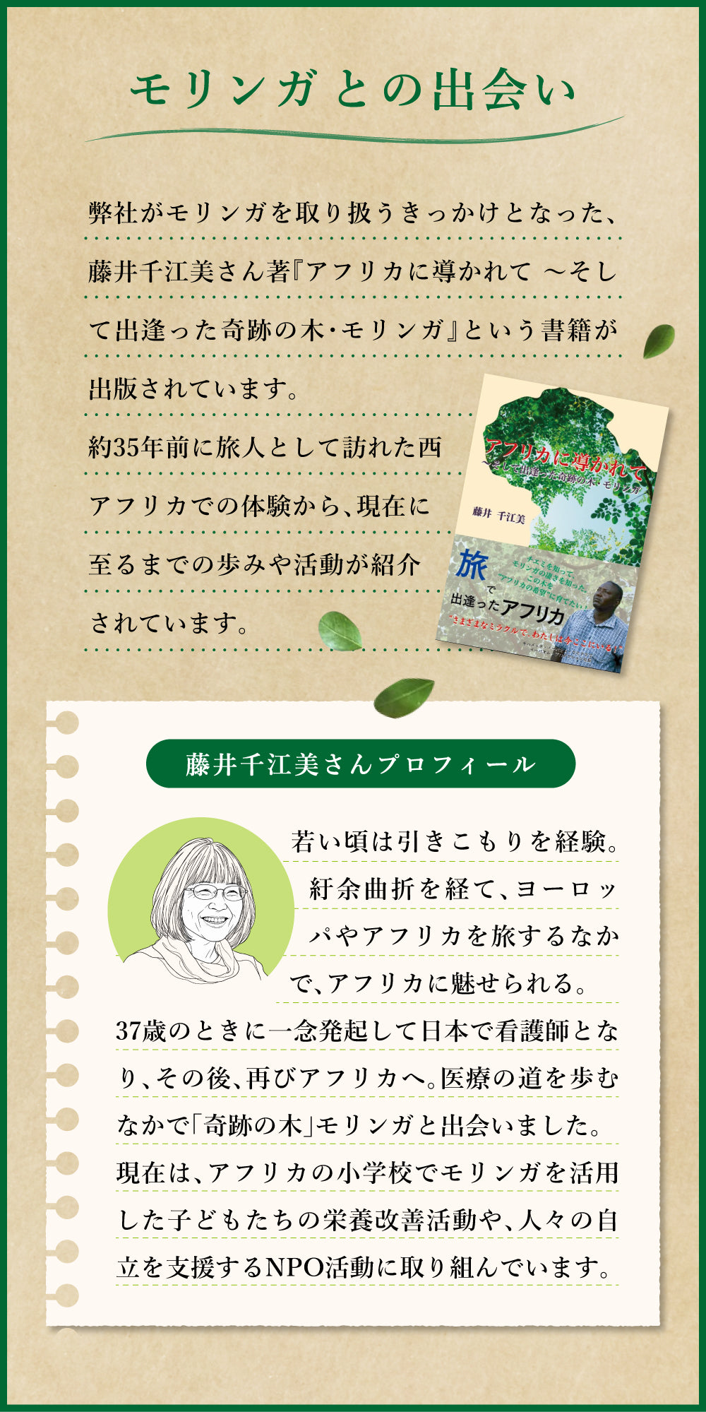 ブルキナファソのモリンガパウダー 30g