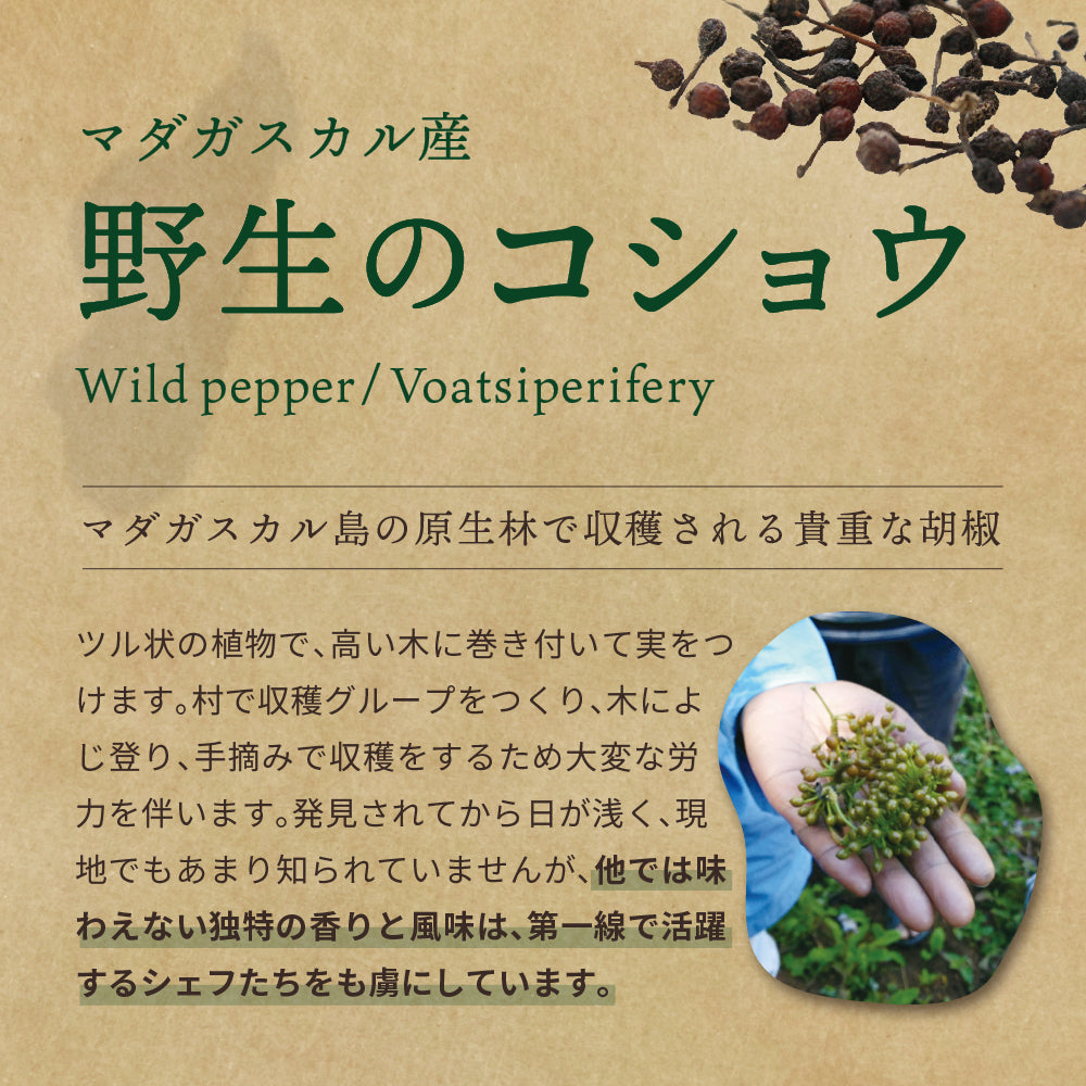 マダガスカル 野生のコショウ(Voatsiperifery) ワイルドペッパー 25g