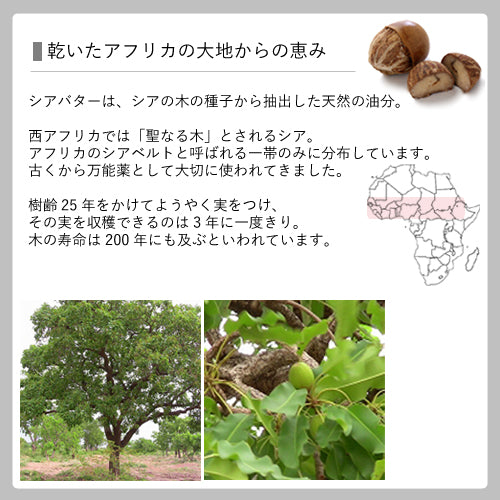 コールドプレス 未精製シアバター 50g