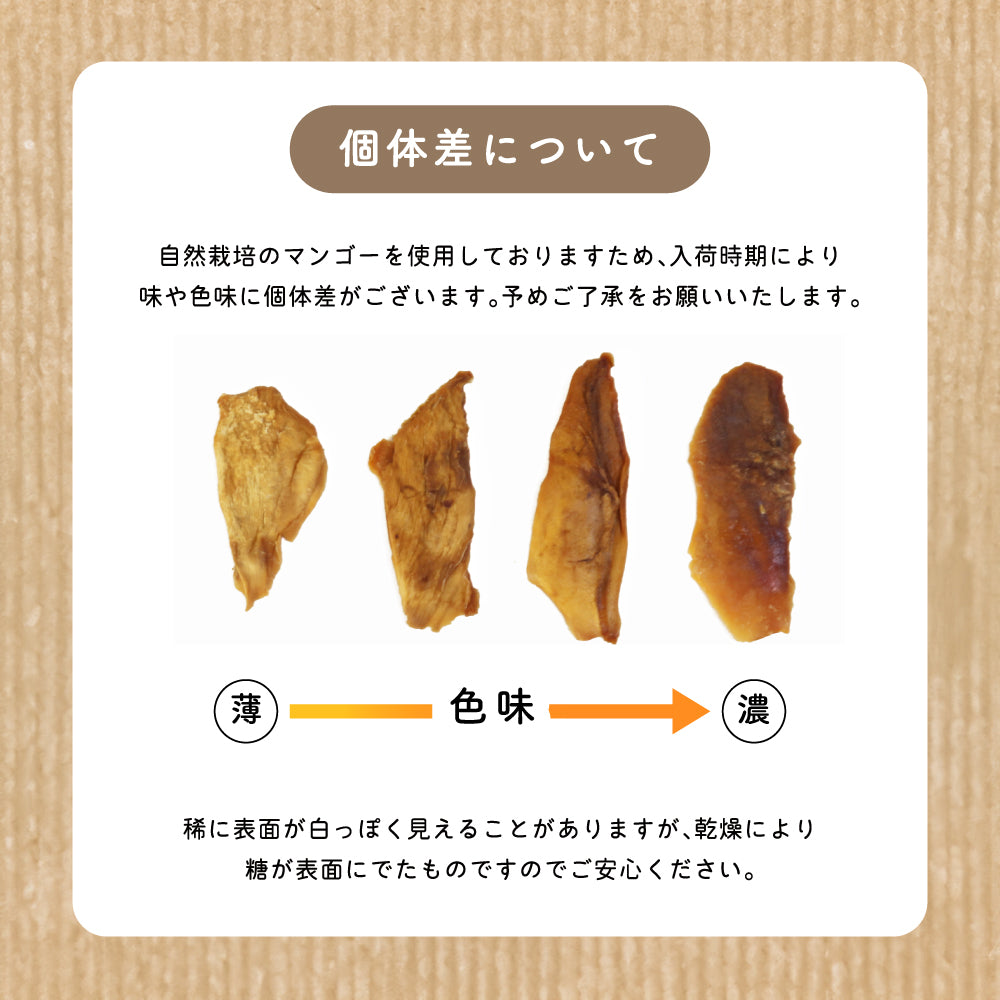 【ブルックス種】ブルキナファソの有機ドライマンゴー 500g 有機JAS