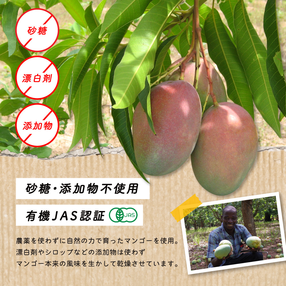 【ブルックス種】ブルキナファソ BOBOのドライマンゴー 1kg