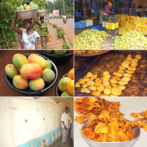 【ブルックス種】ブルキナファソ BOBOのドライマンゴー 1kg