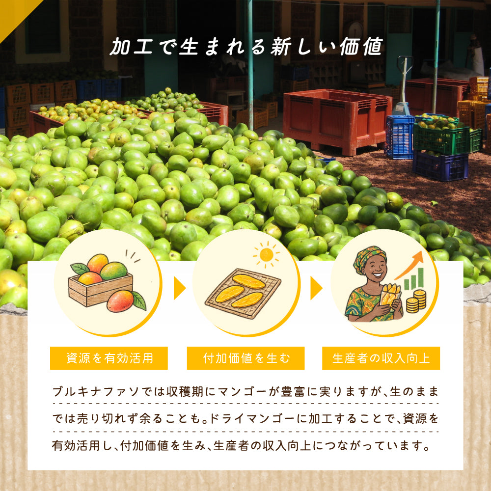 【ブルックス種】ブルキナファソ BOBOのドライマンゴー 1kg