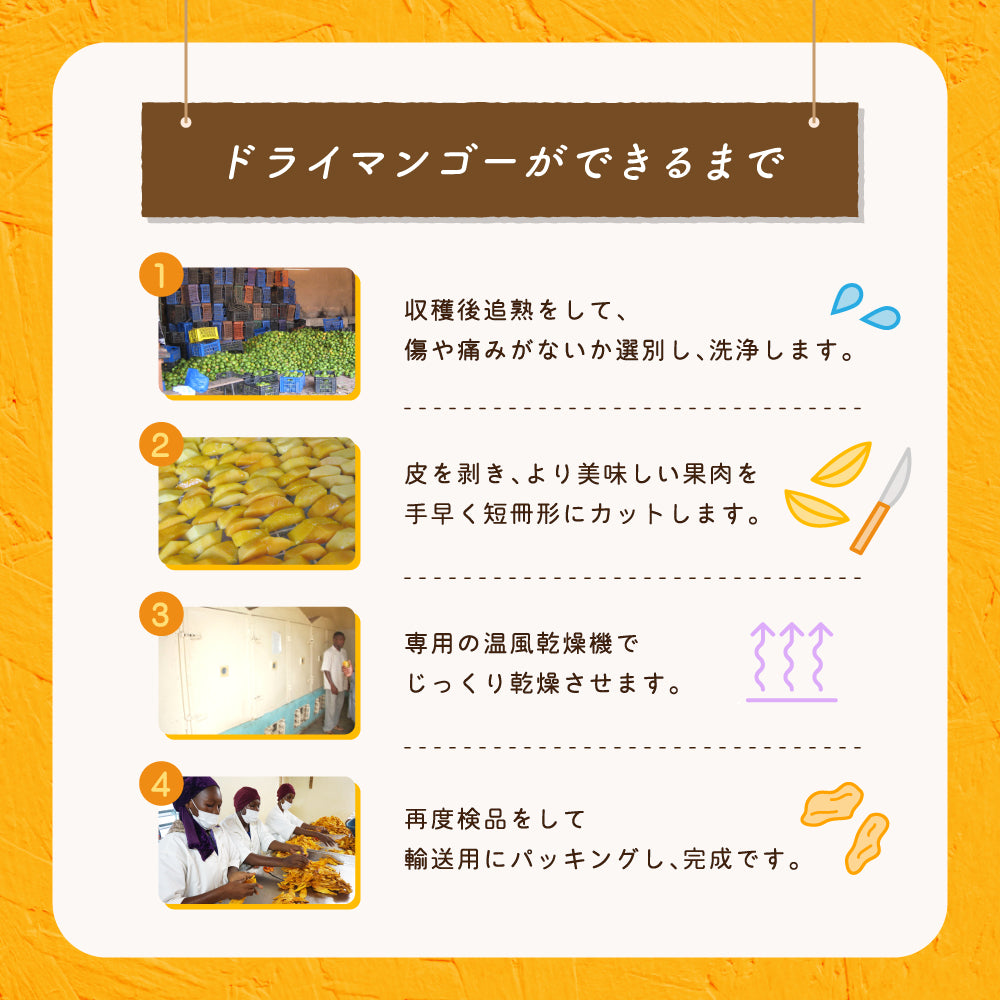 【ブルックス種】ブルキナファソ BOBOのドライマンゴー 1kg