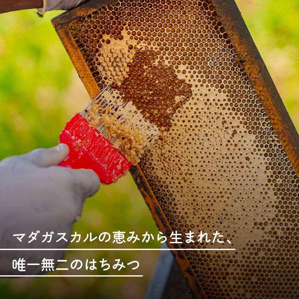 マダガスカルのはちみつ マッケイ山塊 カンパニー・デュ・ミエル 210G