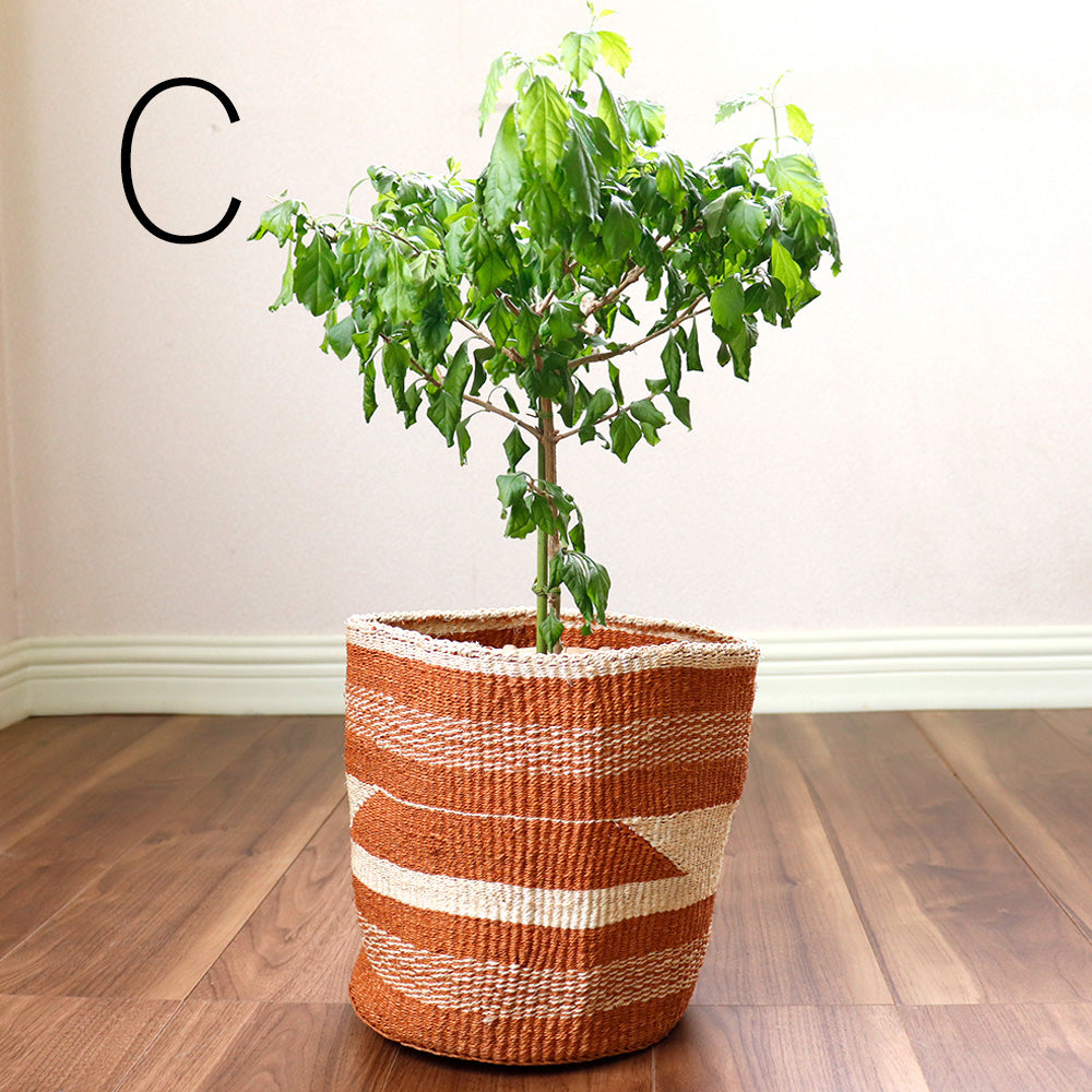 サイザル 大きな籠 サイザル伝統柄インテリアかご アソート