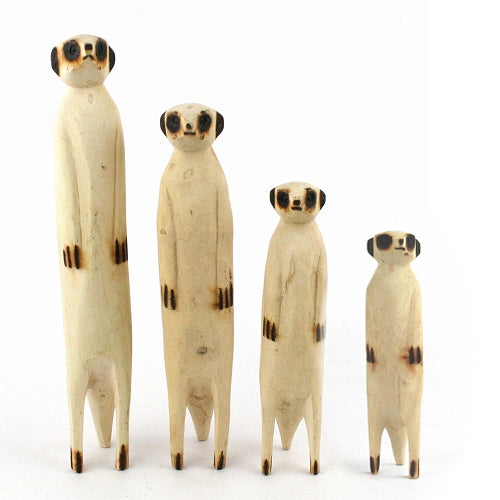 みーやきゃっと ミーアキャットの赤ちゃんが4頭産まれました！【体重測定も】 - YouTube