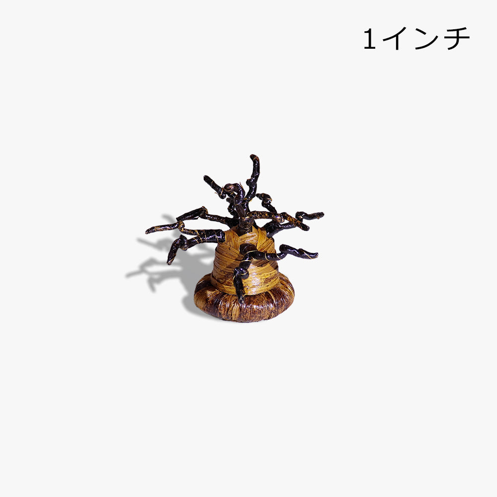 バナナ樹皮 バオバブ オブジェ 置物
