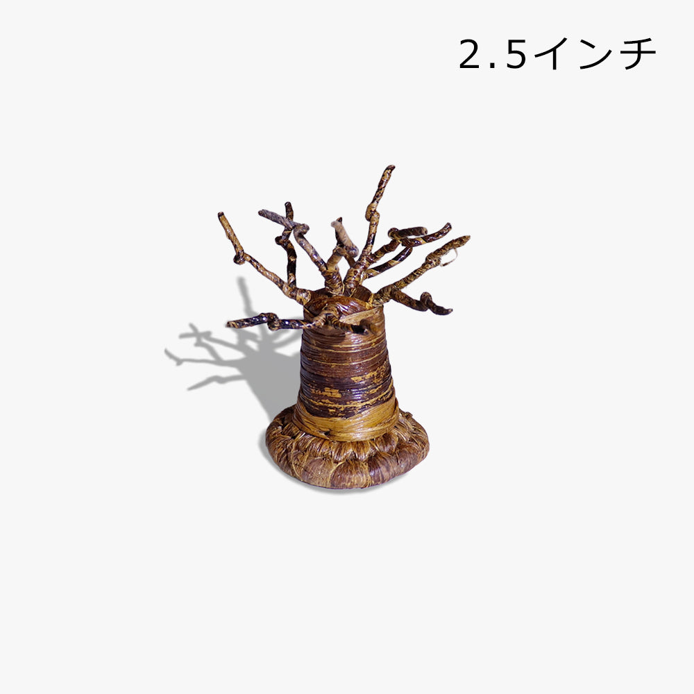 バナナ樹皮 バオバブ オブジェ 置物