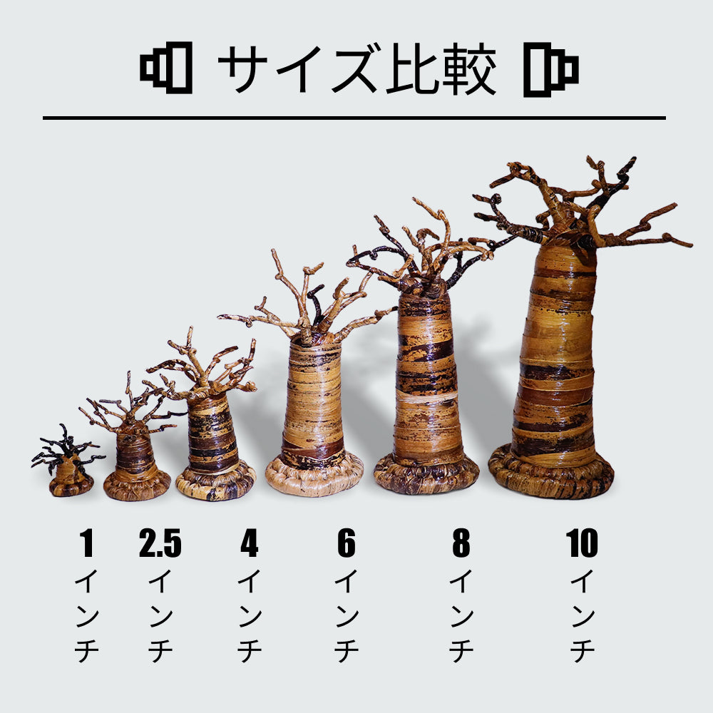 バナナ樹皮 バオバブ オブジェ 置物