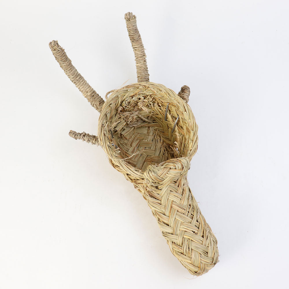 水草アニマルヘッド壁飾り ヤギ