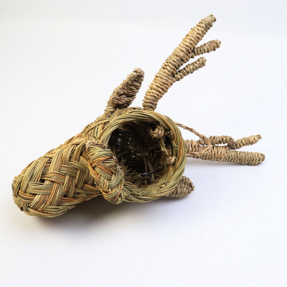 水草アニマルヘッド壁飾り トナカイ ミニ