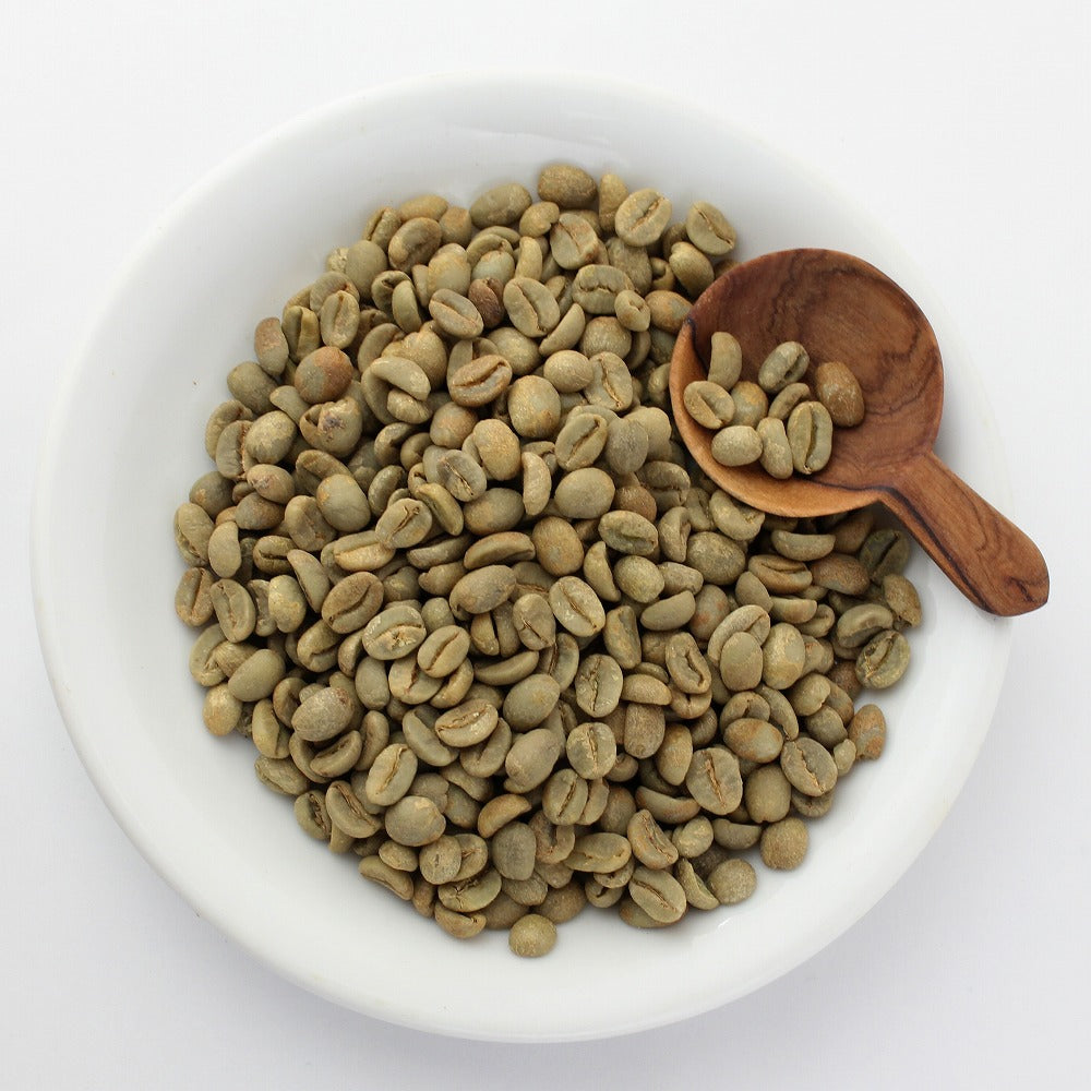コーヒーの木　育苗用　コーヒー生豆　乾燥豆　1kg　アラビカ種のコーヒー コーヒーの木 育苗用 コーヒー生豆 乾燥豆 1kg アラビカ種のコーヒー