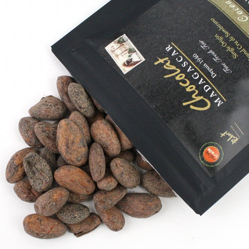 エチオピア皮絵 コプト【実店舗在庫品】 | マンゴロベ