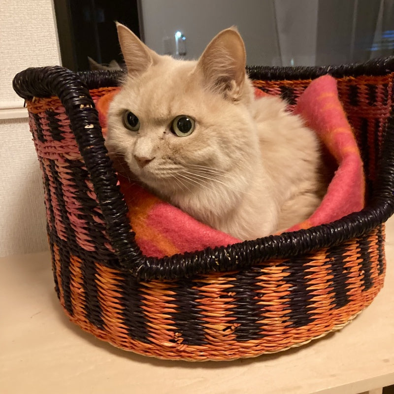 ボルガバスケット 丸底 猫かご ナチュラル | マンゴロベ