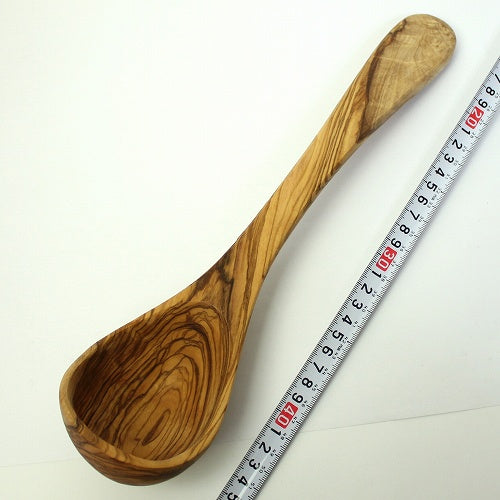 オリーブ木 おたま 大 | マンゴロベ